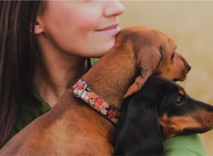 polizza-rimborso-spese-veterinarie