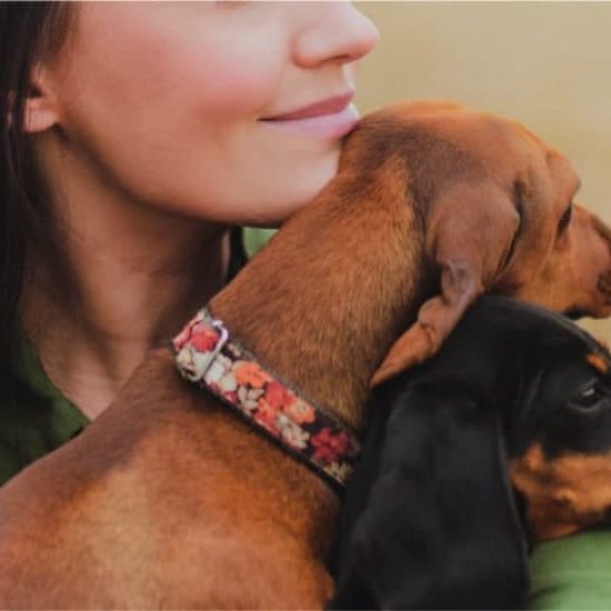 polizza-rimborso-spese-veterinarie